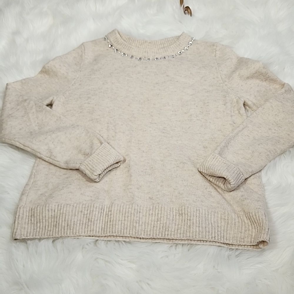 Rhinestone Crew Neckline Sweater